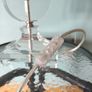 Glass Lamp Image 2