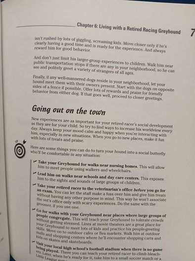 Retired Racing Greyhounds for Dummies