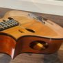 Irish Bouzouki Image 6
