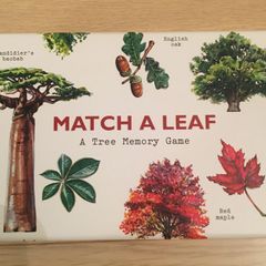 Match a leaf, a tree memory game