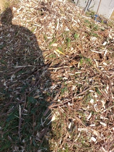 Wood Chips