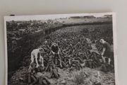 Set of 4 Vintage Photos: Connemara Camping, Cycling &amp; Turf Cutting Expedition