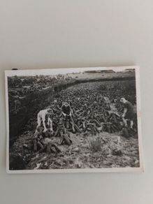 Set of 4 Vintage Photos: Connemara Camping, Cycling & Turf Cutting Expedition
