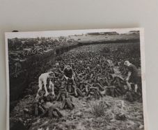 Set of 4 Vintage Photos: Connemara Camping, Cycling & Turf Cutting Expedition