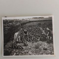 Set of 4 Vintage Photos: Connemara Camping, Cycling & Turf Cutting Expedition