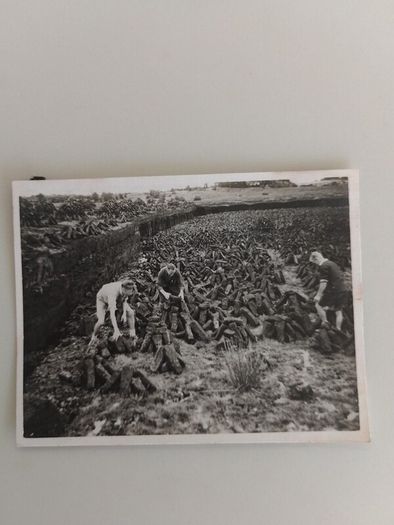 Set of 4 Vintage Photos: Connemara Camping, Cycling & Turf Cutting Expedition