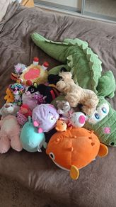 Plush toys