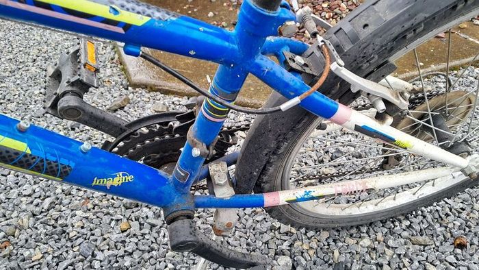 Imagine force 20inch bike