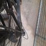 Mountain bike Image 5