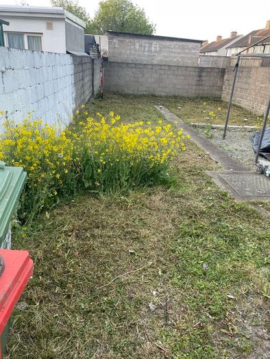 Gardening and maintenance and diy