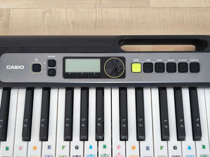 Casio LK S250 Keyboard