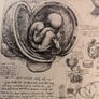 The drawings of Leonardo da Vinci by Popham Image 5