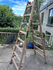 Painters Ladder