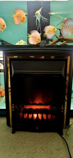 Electric Heater