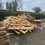 timber Image 2