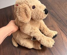 ikea dog
