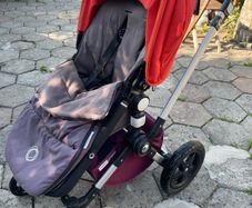 buggy