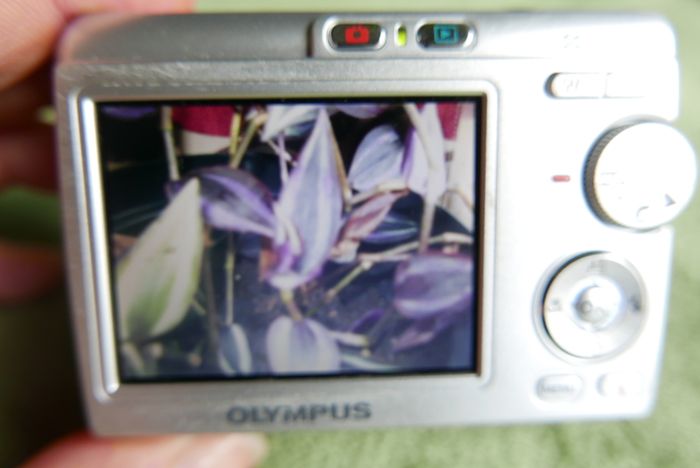 OLYMPUS C505 Digital Camera 6,0MP , Card ,runs on AA batteries Tested