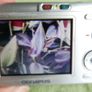 OLYMPUS C505 Digital Camera 6,0MP , Card ,runs on AA batteries Tested Image 7