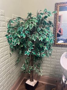 free fake tree