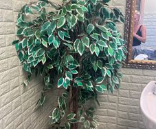 free fake tree