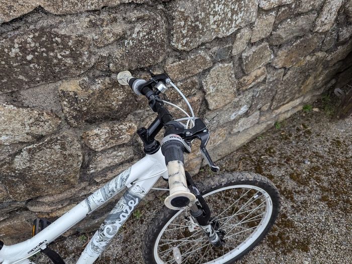 Apollo Evade Mountain Bike - 24in Wheels