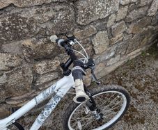 Apollo Evade Mountain Bike - 24in Wheels