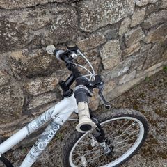 Apollo Evade Mountain Bike - 24in Wheels