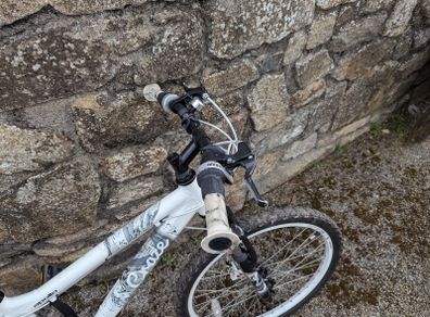 Apollo Evade Mountain Bike - 24in Wheels