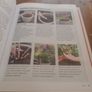 Pots: with 30 Step-by-Step Projects ...  RHS Grow Your Own Crops in Pots: with 30 Step-by-Step Projects Using Vegetables... (Hardcover) Image 8