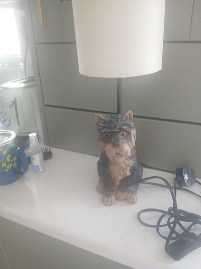doggy lamp