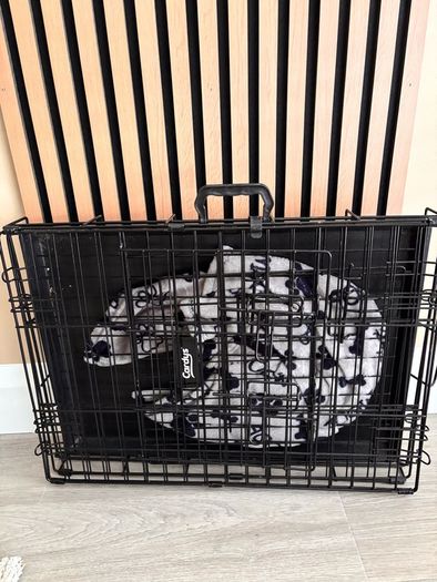 medium dogs crate
