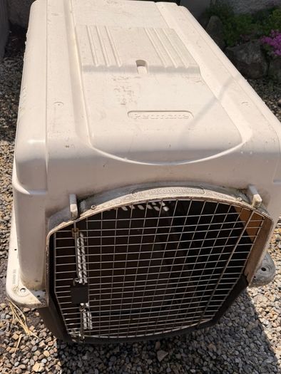 XL Dog travel kennel