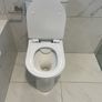 Toilet Image 2