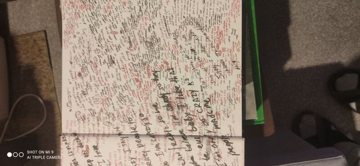 Eminem Book