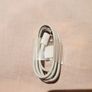 apple usb cable Image 2