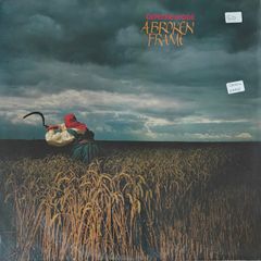 Depeche Mode Irish Pressing A Broken Frame
