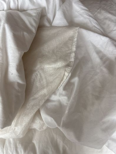 Free single mattress protector