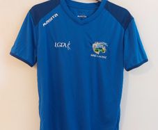 laois gaa jersey