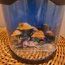 fake fish tank Image 2