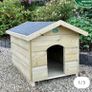 dog run and kennel Image 2
