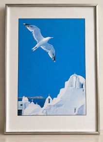 George Meis Framed Print