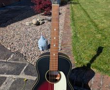 Gretsch G9500 Jim Dandy Acoustic Guitar
