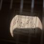 Burswood acoustic guitar Image 2