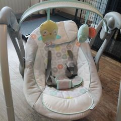 Baby Swing