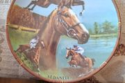 4 Royal Worcester Commemorative Plates from the Great Racehorses Collection PRICE IS FOR 1 ONLY, after paintings by Melyvn Buckley, titled Arkle, Aldaniti, Party Politics, and L Escargot, with printed factory marks, postage available or collection