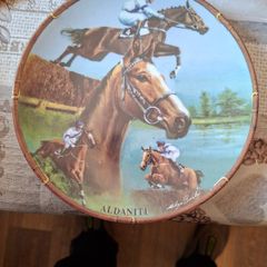 4 Royal Worcester Commemorative Plates from the Great Racehorses Collection PRICE IS FOR 1 ONLY, after paintings by Melyvn Buckley, titled Arkle, Aldaniti, Party Politics, and L Escargot, with printed factory marks, Ideal for Home or Stage Movie Props pos