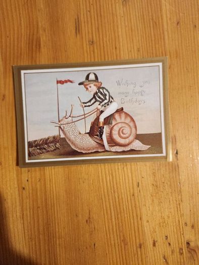 Beautiful Set Of 25 Reproduction  Vicorian Greeting Cards Of The Period 1860-1890 In Presentation Box. In Very Good Condition.