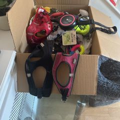 dog harness