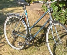 Vintage Raleigh Bike
